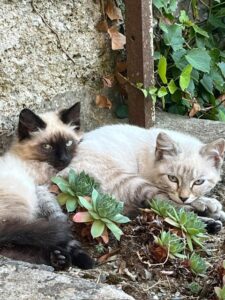 Creative Sparks Image