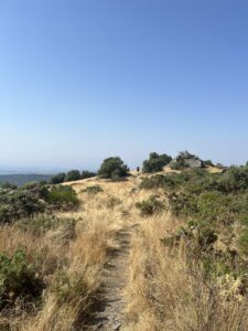 Cinematic Screenwriting Image