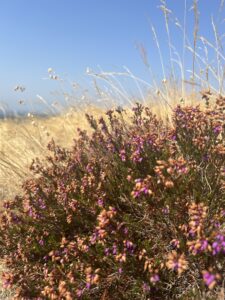 Embodied Creativity Image